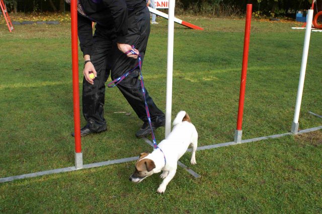 agility 2011-10-30